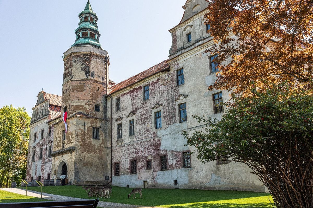 Plener Rzeźbiarski na Zamku Książęcym Niemodlin – trwają zgłoszenia 6 Plener Rzeźbiarski na Zamku Książęcym Niemodlin – trwają zgłoszenia