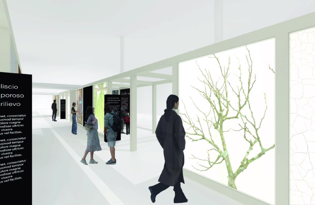 cersaie 2025 zapowiedź