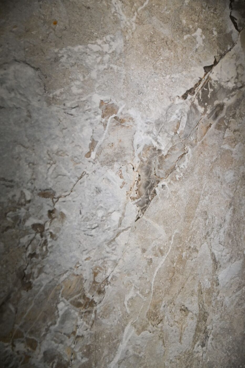 Kolekcje, które pobudzają zmysły: premiera nowości Opoczno na Cersaie 2025