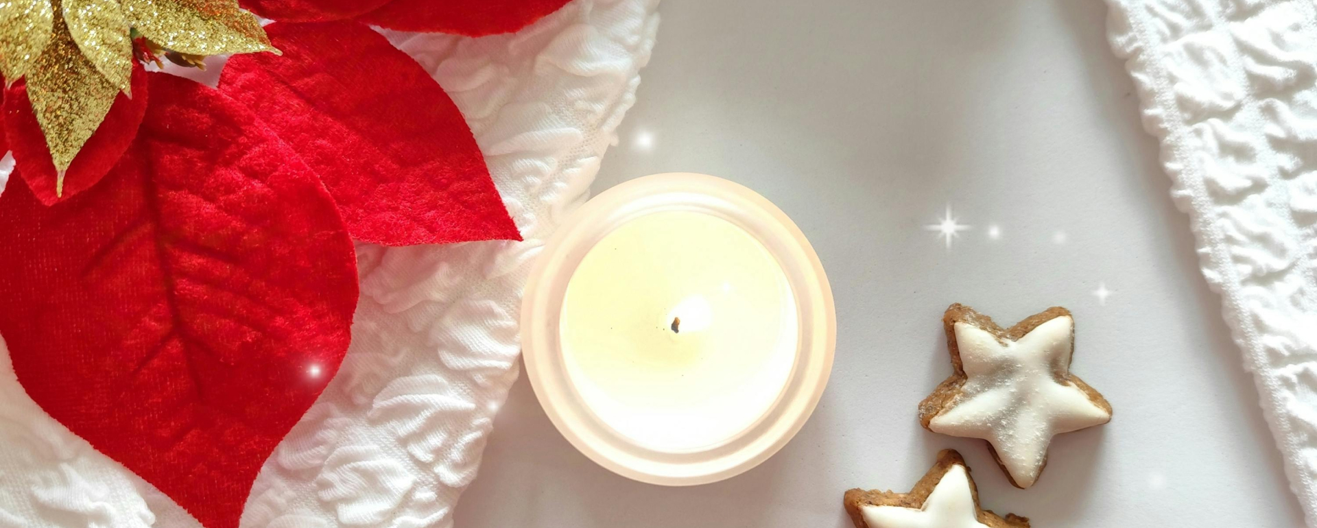 Gwiazda betlejemska – wszystko, co warto wiedzieć o wilczomleczu nadobnym