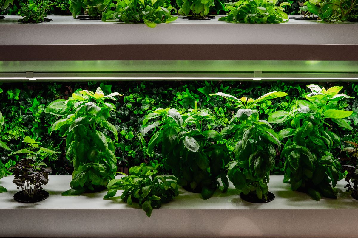 Metroteka – oto biblioteka w metrze niczym z filmu fantasy 28 Metroteka – biblioteka, która wskoczyła do metra (i do mainstreamu)