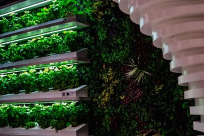 Metroteka – biblioteka, która wskoczyła do metra (i do mainstreamu)