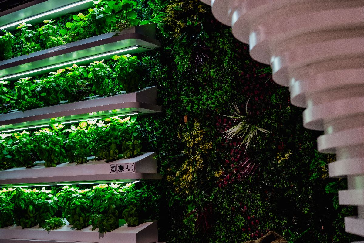 Metroteka – oto biblioteka w metrze niczym z filmu fantasy 30 Metroteka – biblioteka, która wskoczyła do metra (i do mainstreamu)