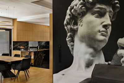 Dialog dwóch estetyk w domu w Katowicach AVO Architekci