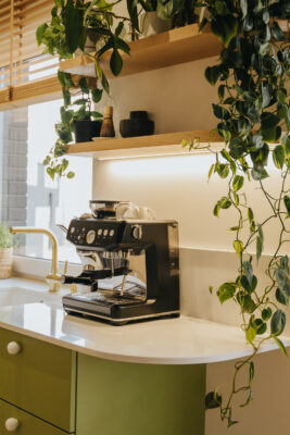 Flora Fusion apartament, w którym natura staje się architekturą