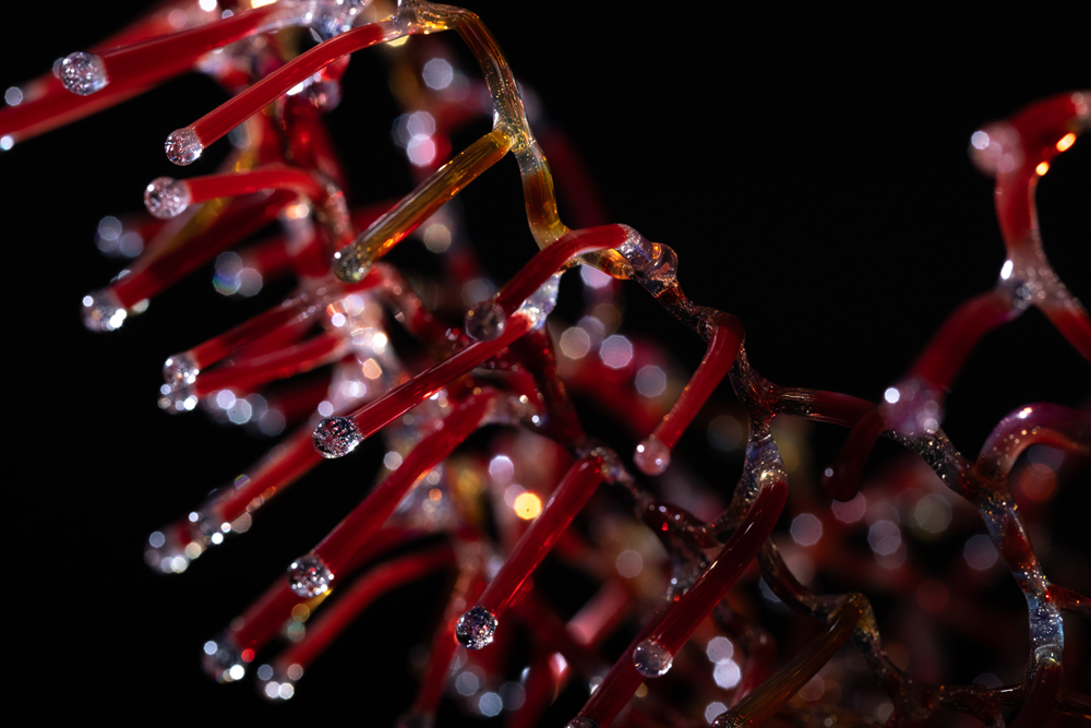 Polska kreatywność debiutuje na Collect 2026 z wystawą „Metamorphosis. Craft from Poland”