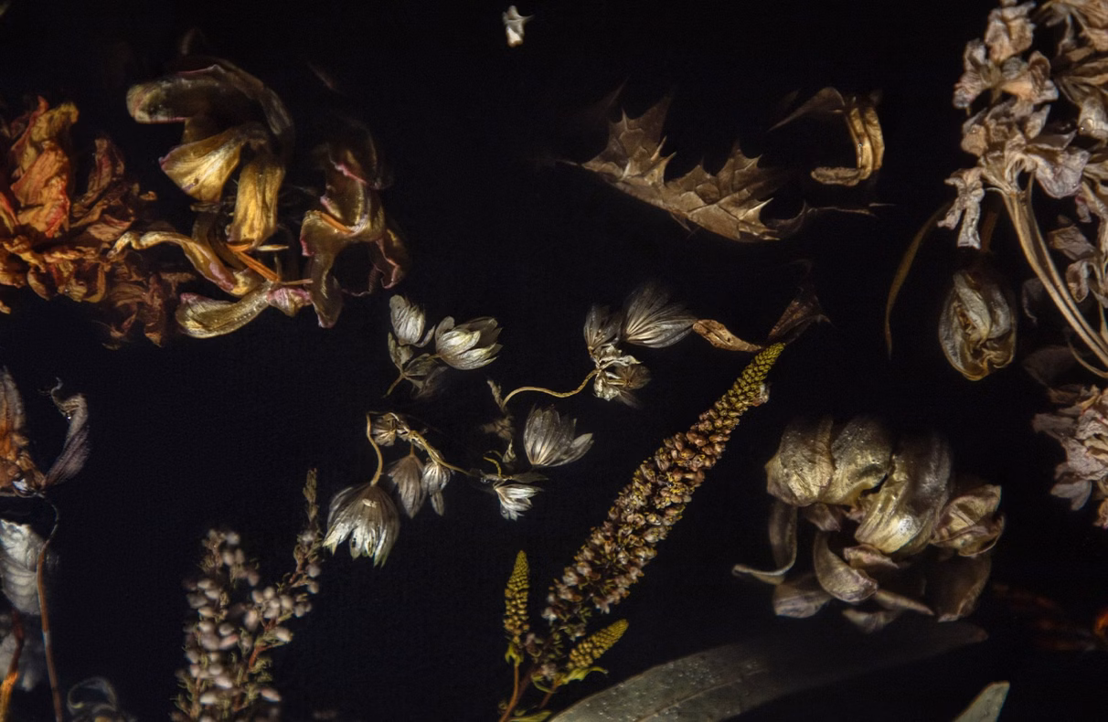 Rzecz o kwiatach: Forum Florum Marcina Rusaka podczas MDW 2026