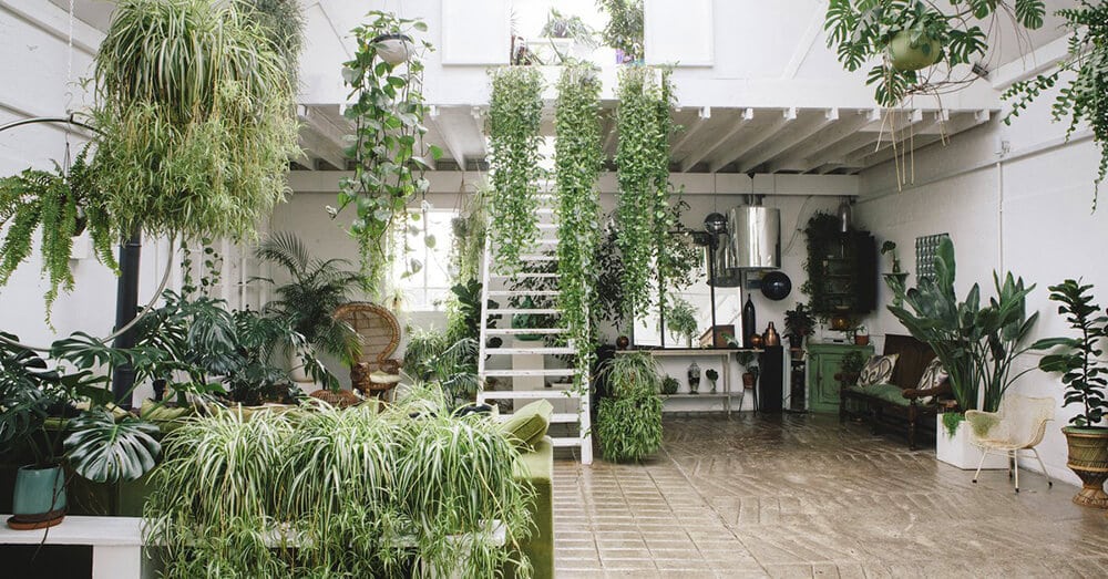 Miejska dżungla na własność: styl urban jungle w domu i mieszkaniu