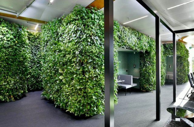 boxy w przestrzeni biurowej open space porośnięty zieloną roślinością