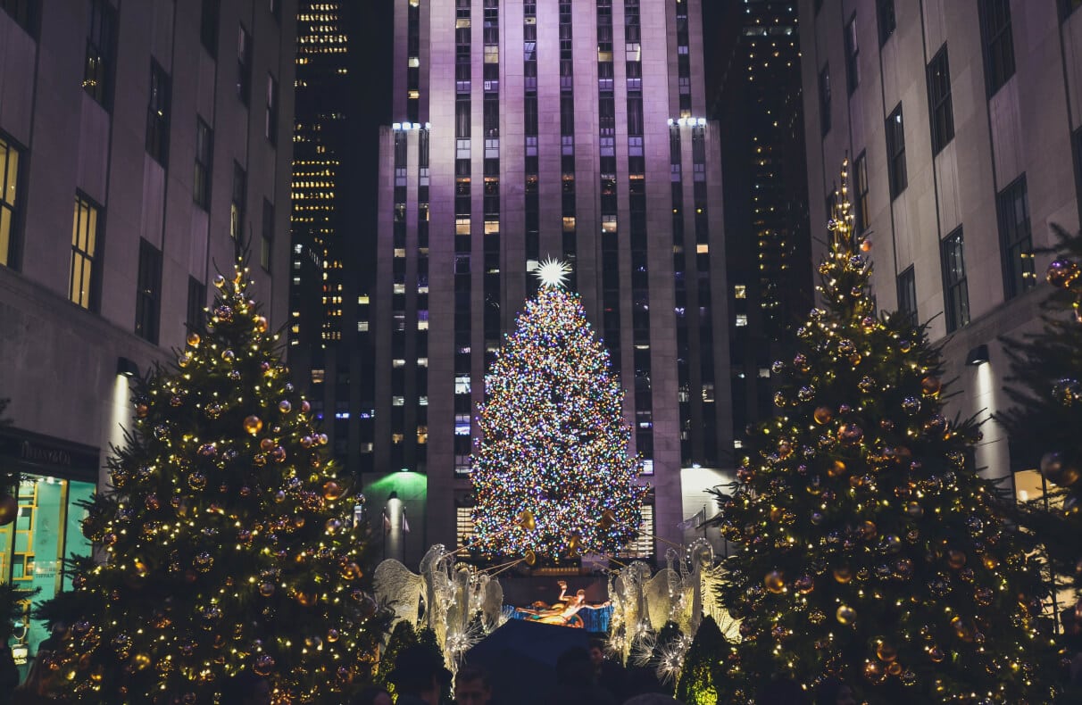Choinka z NYC – gdzie trafia najsłynniejsze drzewko świata po świętach?
