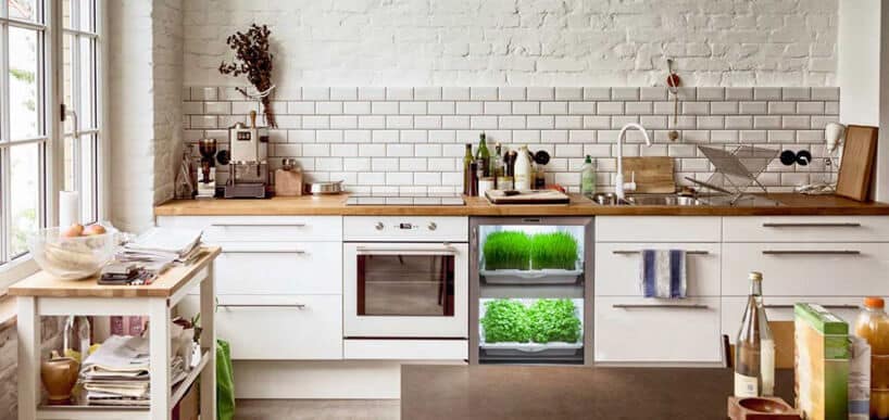 kuchnia z dwoma szklanymi panelami z zielenią