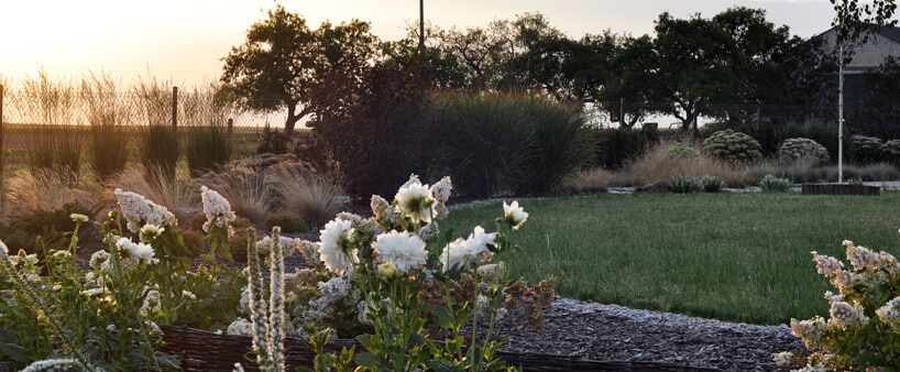 zdjęcie zaaranżowanego ogrodu naturalistycznego z wiklinowymi płotkami i białym kwiatami