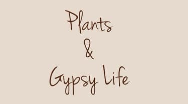 logotyp Plants & gypsy life