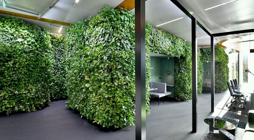 boxy w przestrzeni biurowej open space porośnięty zieloną roślinością