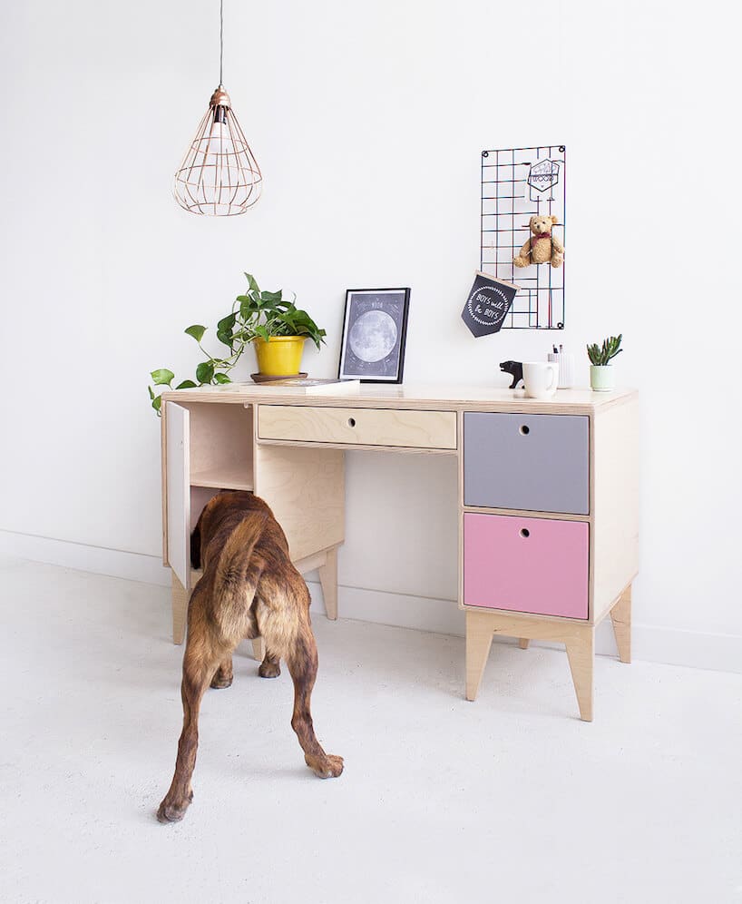 małe biurko Fuss od Wood Republic z kolorowymi frontami z i psem szukającym czegoś w szafce