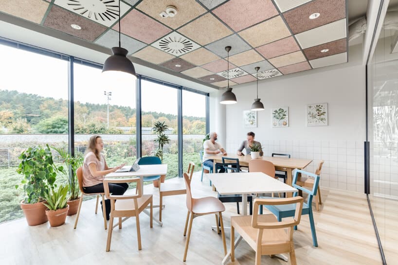 ekologiczne biuro od workplace solutions przestrzeń ze stolikami i krzesłami do pracy ba tle widoku na las