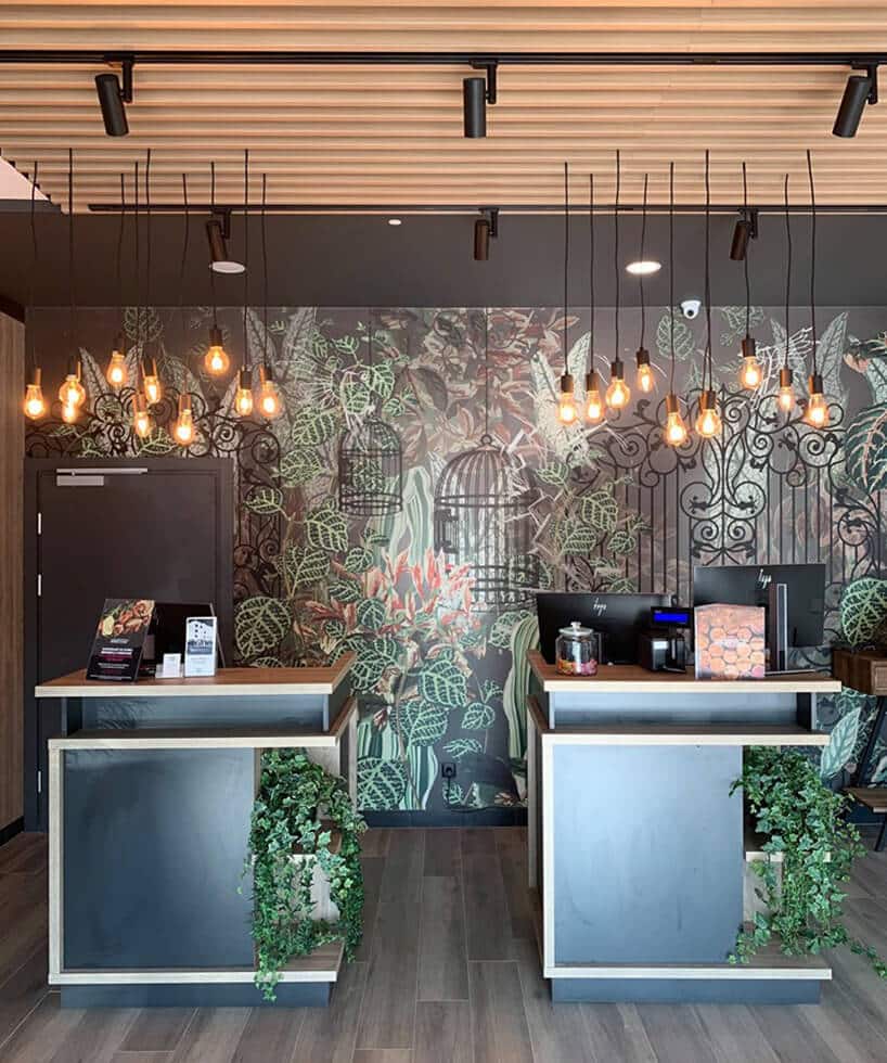 wnętrze hotelu ibis Styles Kraków od Accor rejestracja hotelowa na tle grafiki z motywem roślinnym