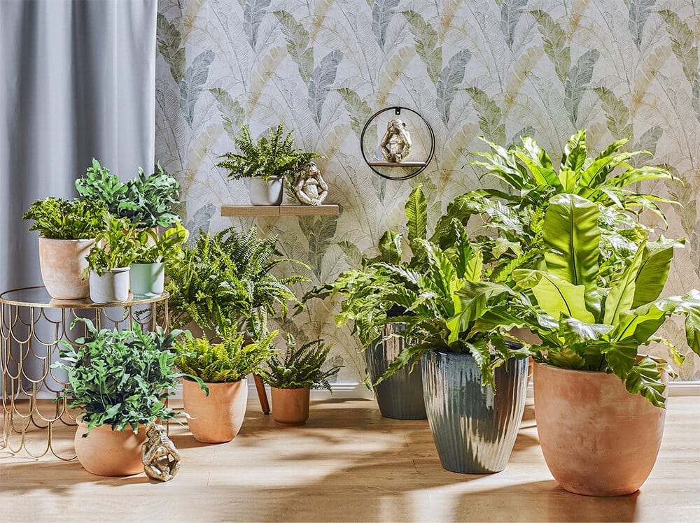 Znaczenie roślin będzie tylko rosnąć. Jak projektować biofilnie?