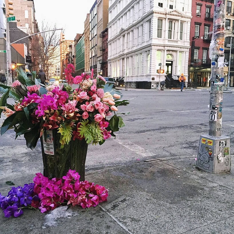 fioletowe i różowe kwiaty w śmietniku miejskim