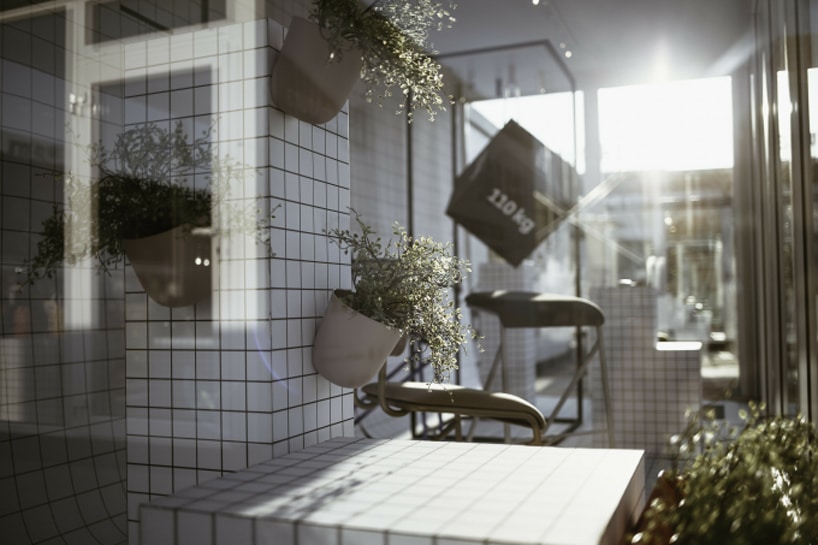 zdjęcie przeszklonego kontenera na Łódź Design Festival