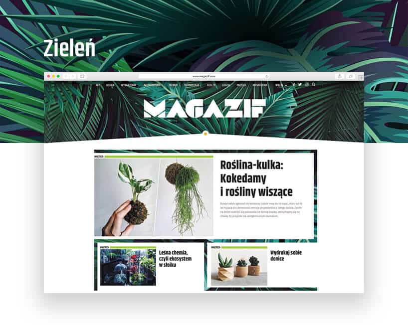 magazif zieleń kwiatów