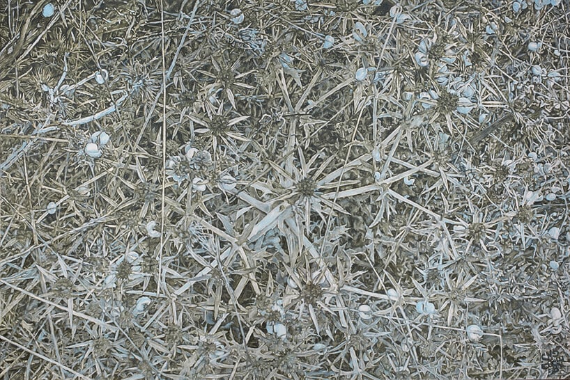 biofiliczny plakat w zielonym i białym
