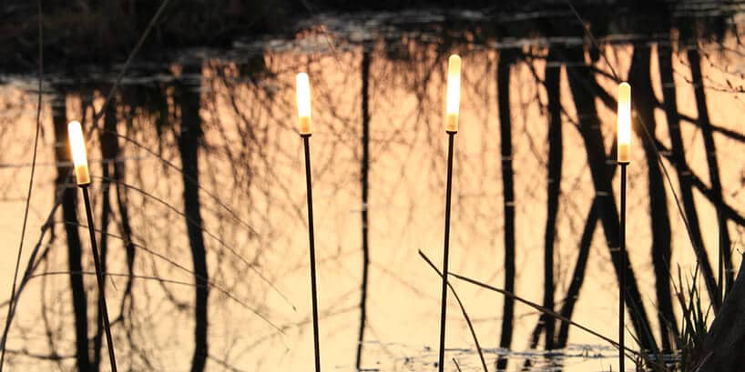 cztery cienkie wysokie lampy Soffione, Inverlight, przypominające wysoką trawę nad brzegiem stawu