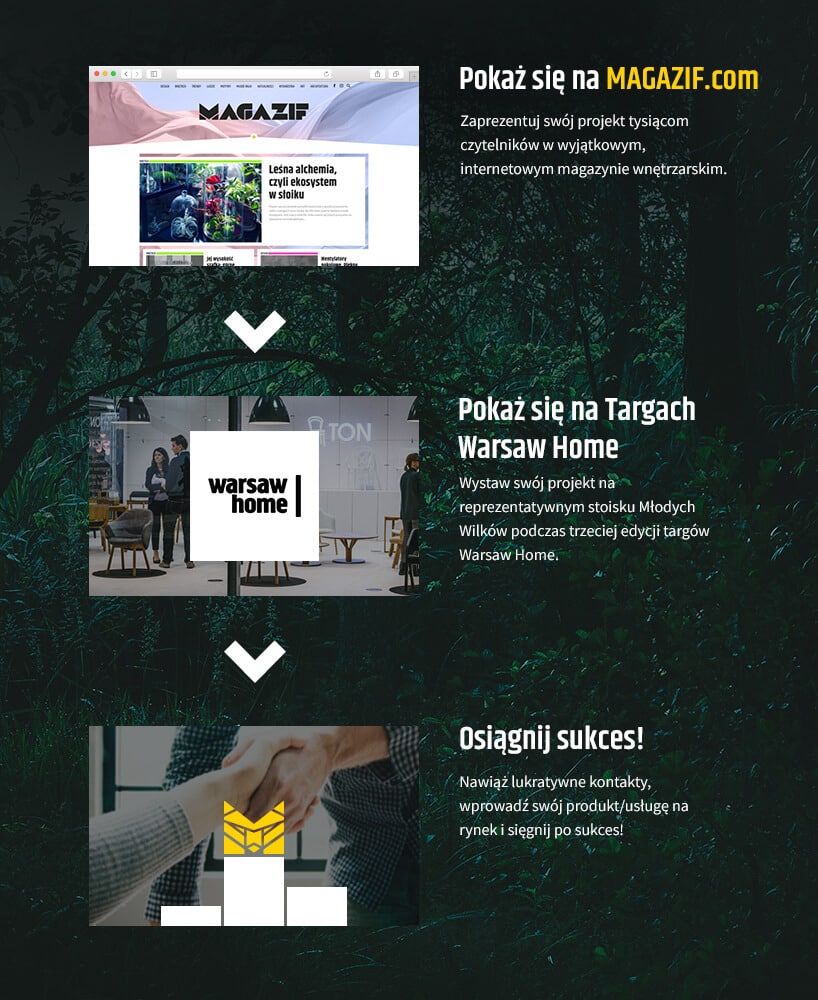 wycinek ze strony Młode Wilki MAGAZIF z drogą do sukcesu
