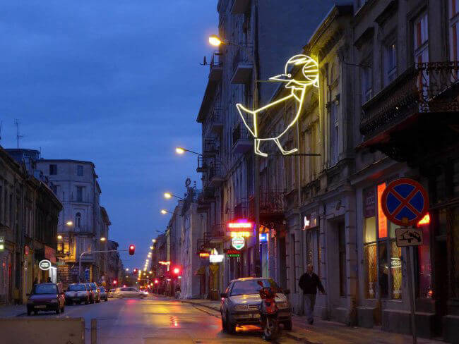 neon kaczki