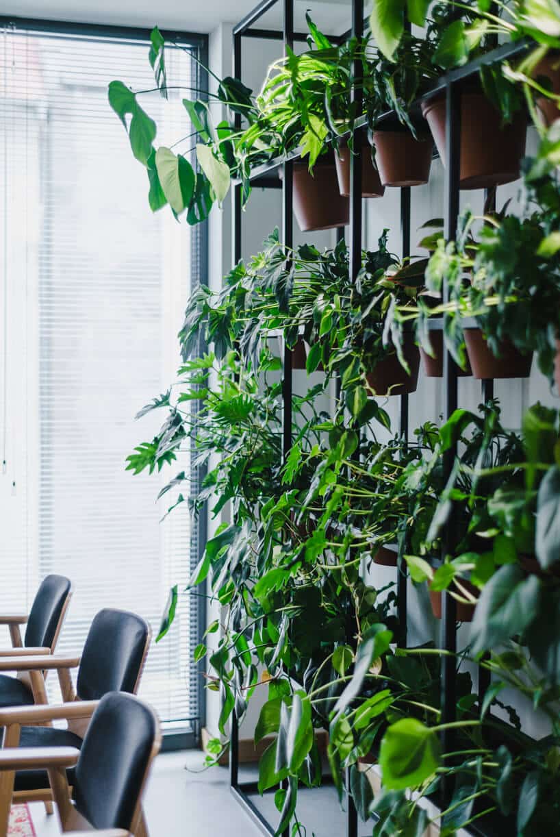 nowoczesne wnętrze open space intive ściana z czarncyh prędów służacych jako mocowanie dla wielu doniczek z zielonymi roślinami