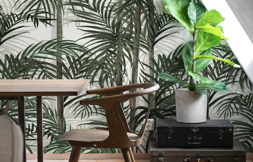 fototapeta Botany Bamboo Green las bambusów jao tło wyjątkowego drewnianego krzesła