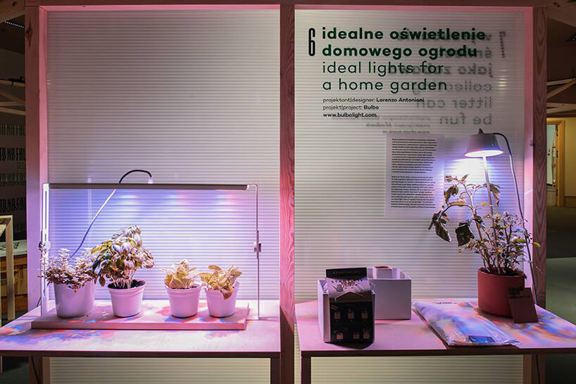 stoisko ze specjalnym oświetleniem dla roślin