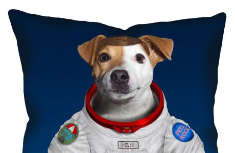 pies na poduszce astronauta