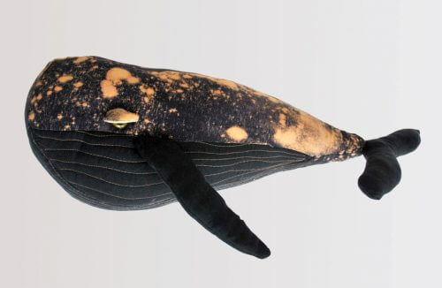 czarny wieloryb ze złotymi plamami