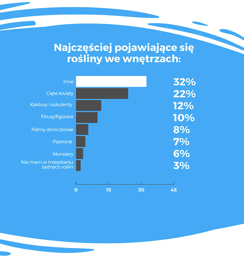 duża niebieska plansza statystyczna homebook najczęściej pojawiające się rośliny we wnętrzach