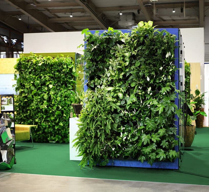ścianki boxów akustycznych VANK_WALL JUNGLE ze ścianami osłoniętymi zielonymi roślinami