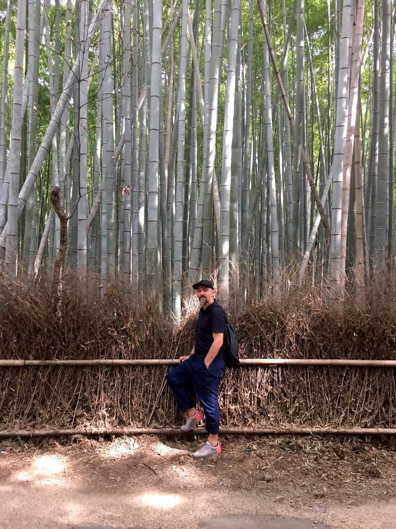 mężczyzna na le bambusowego lasu