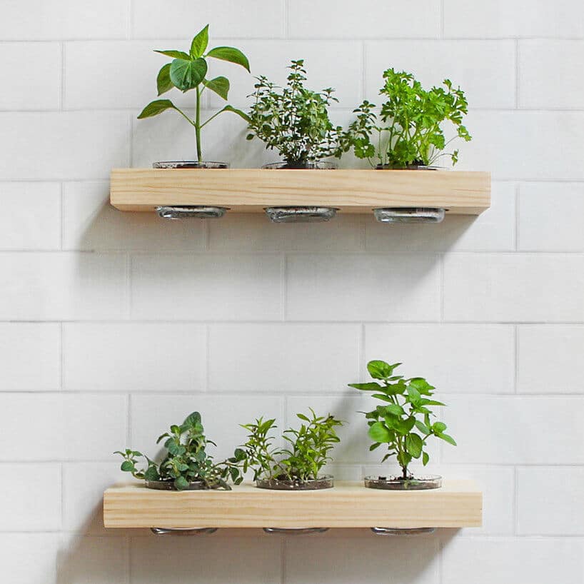 dwie drewniane małe półki na białej ścianie z ziołami