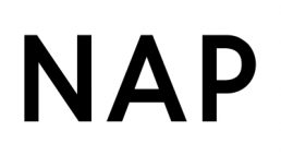 czarny logotyp NAP